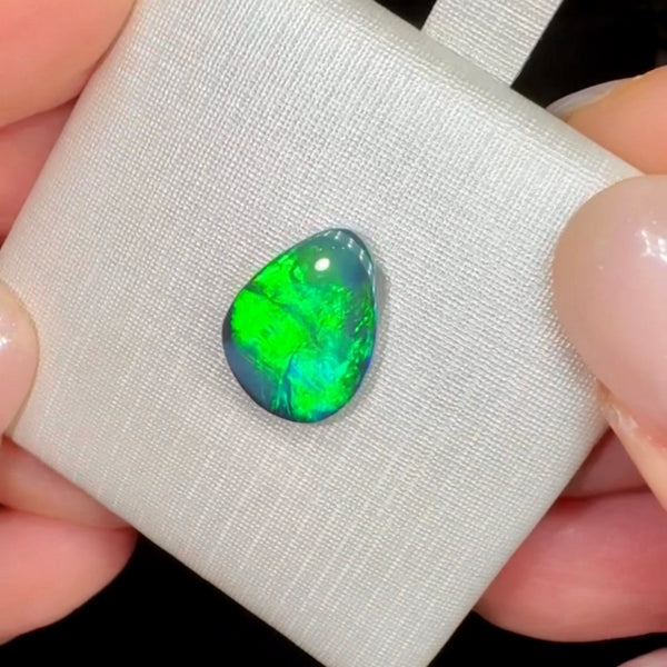 1.71ct black opal 11.7x8.9x2.7MM