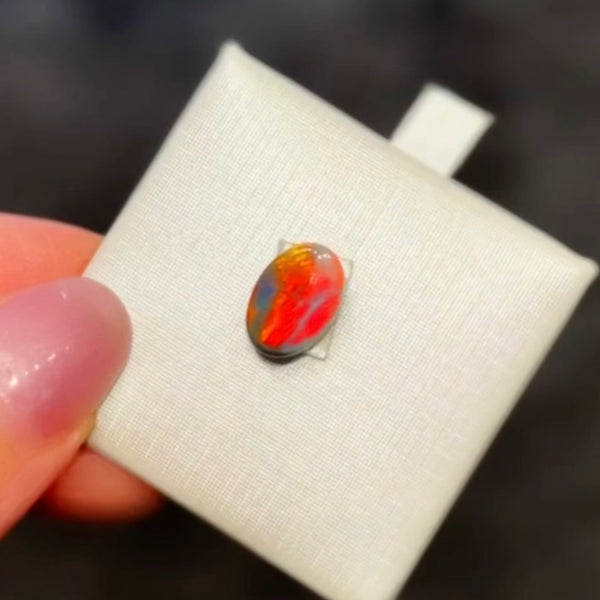 1.55ct black opal 10.8x7.4x2.7MM