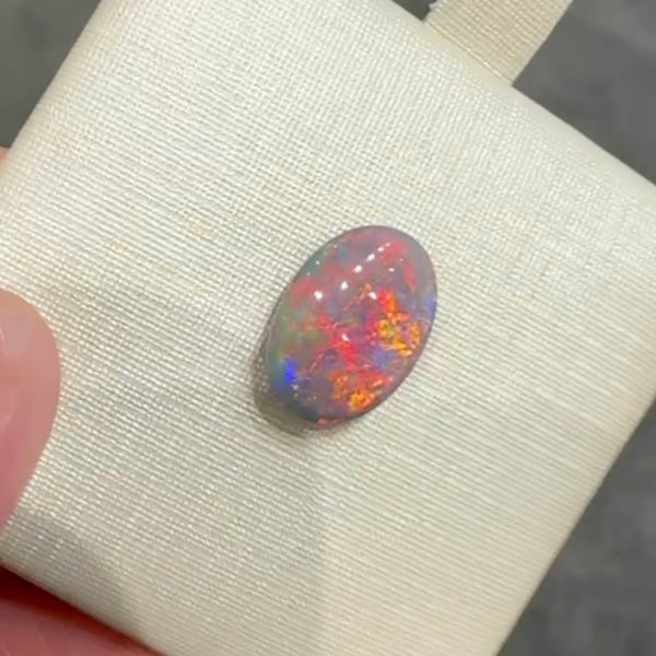1.56ct black opal 10.8x 7.6x3.1MM