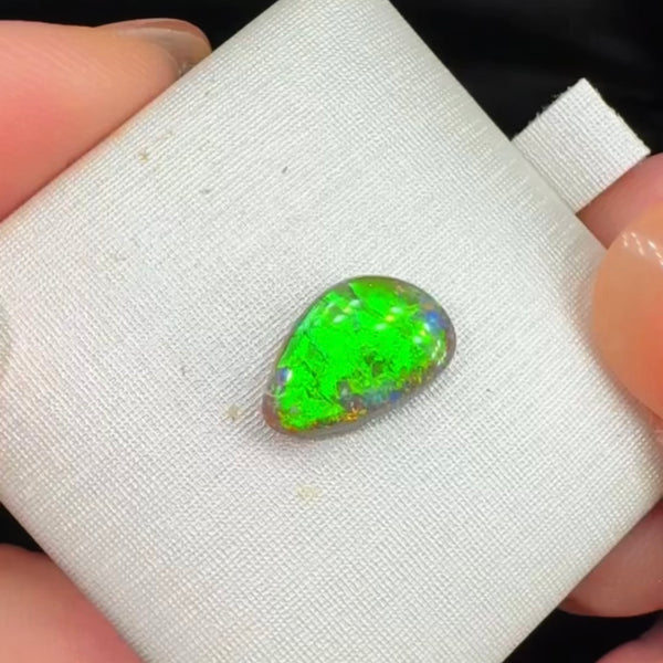 1.55ct black opal 11.6x7.5x2.9MM