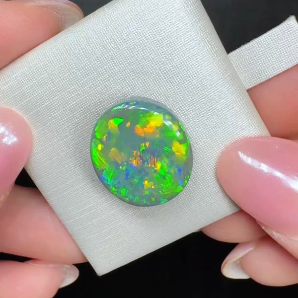 10.04ct black opal 16x 14.1x6.6MM