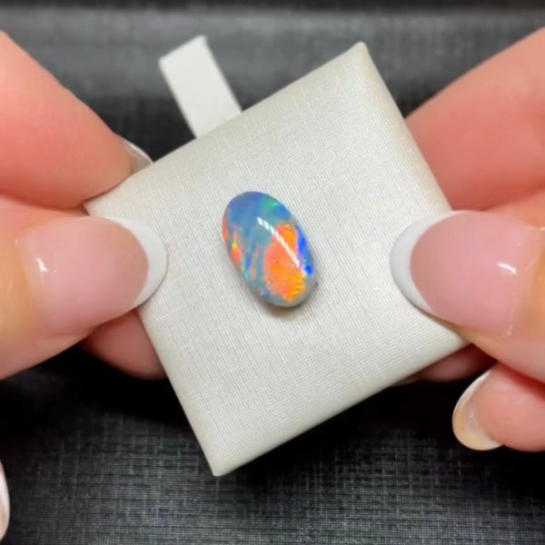 4.42ct black opal 14.1x 8.6x5.3MM