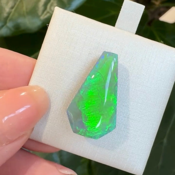 11.29ct black opal 21.8x 12.3x4.7MM